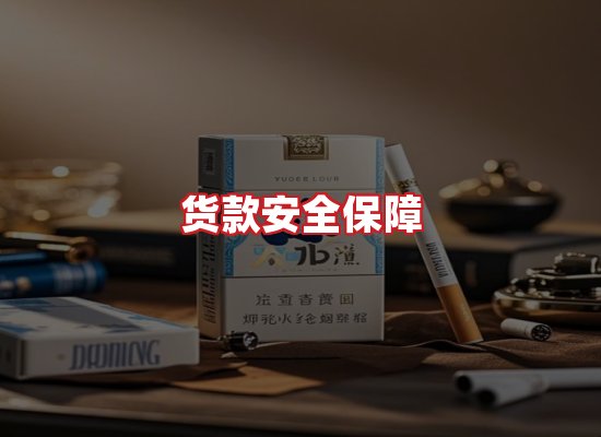 专业团队